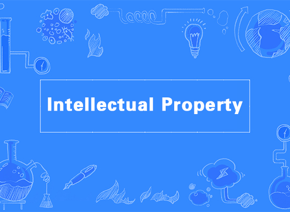 The significance of intellectual property standard